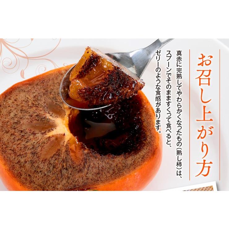 柿 紀の川柿 秀品 約3〜3.5kg L〜2Lサイズ 12〜15玉入り 和歌山産 黒