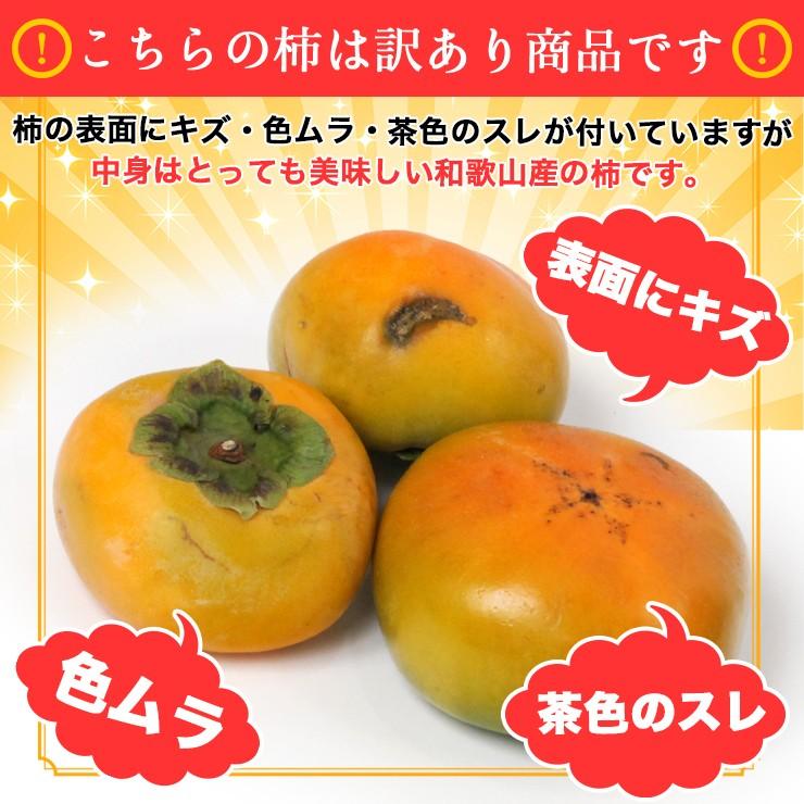 b.和歌山県産 たねなし柿 柿 家庭用 訳あり品 訳あり 和歌山県 たねなし柿 5kg 柿 種無し カキ フルーツ 果物 産地