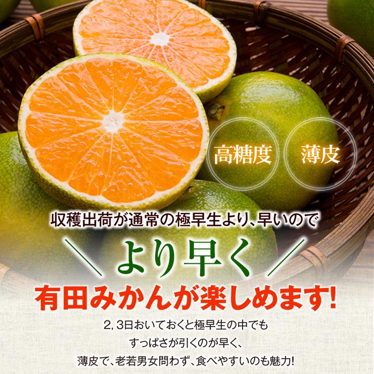 訳あり ゆらら 極早生みかん 5kg 酸っぱい 蜜柑 ゆら早生 酸味 送料