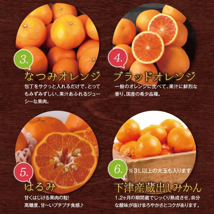 訳あり 春柑橘 セット 10.0kg 福袋 訳アリ みかん 送料無料 10kg 自宅