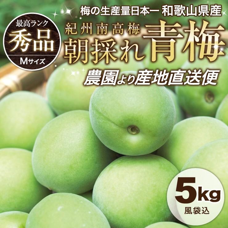 青梅 青うめ 南高青梅 Mサイズ 梅酒用 朝採れ青梅 5.0kg 5キロ 送料