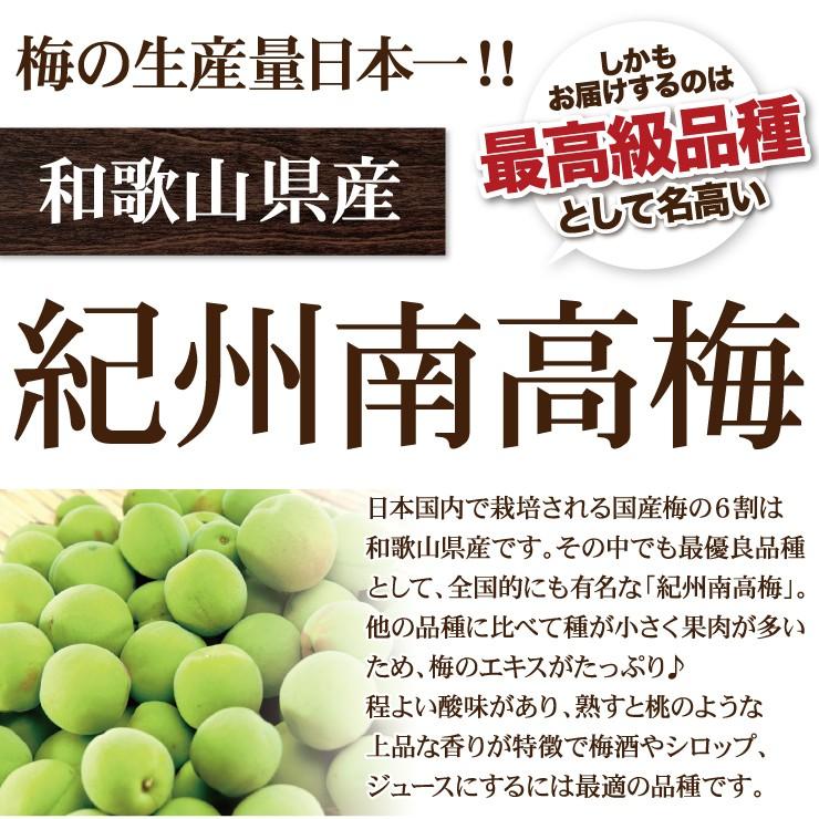青梅 青うめ 南高青梅 Mサイズ 梅酒用 朝採れ青梅 5.0kg 5キロ 送料