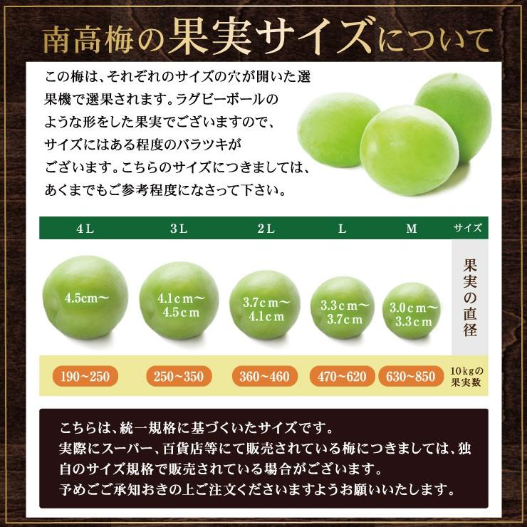 青梅 青うめ 南高青梅 Mサイズ 梅酒用 朝採れ青梅 5.0kg 5キロ 送料