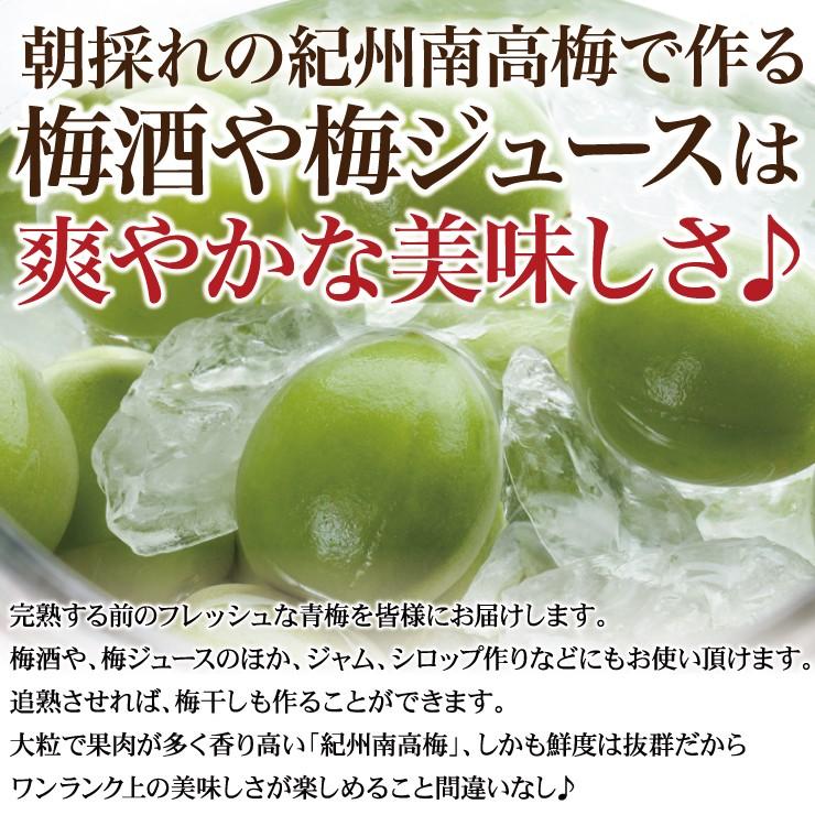 青梅 青うめ 南高青梅 Mサイズ 梅酒用 朝採れ青梅 5.0kg 5キロ 送料