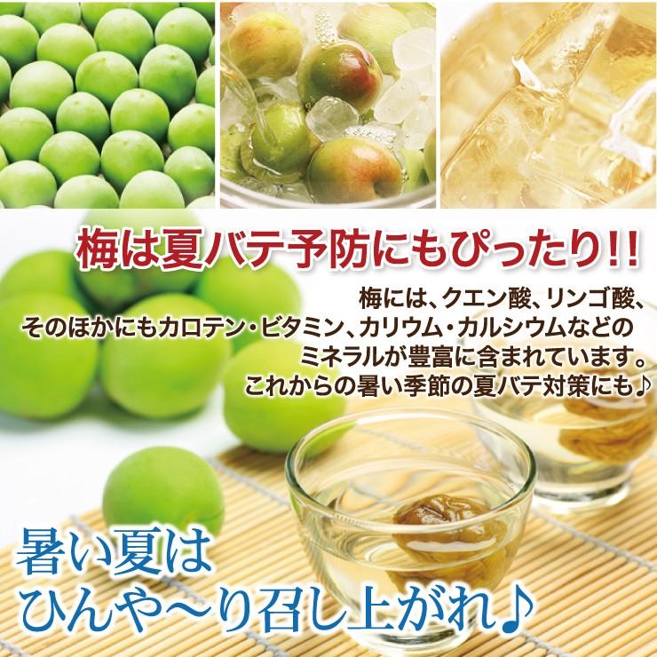 青梅 青うめ 南高青梅 Mサイズ 梅酒用 朝採れ青梅 5.0kg 5キロ 送料