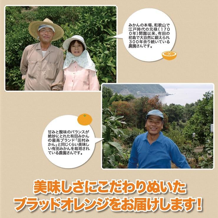 川辺のオリジナル小さな油絵_¥