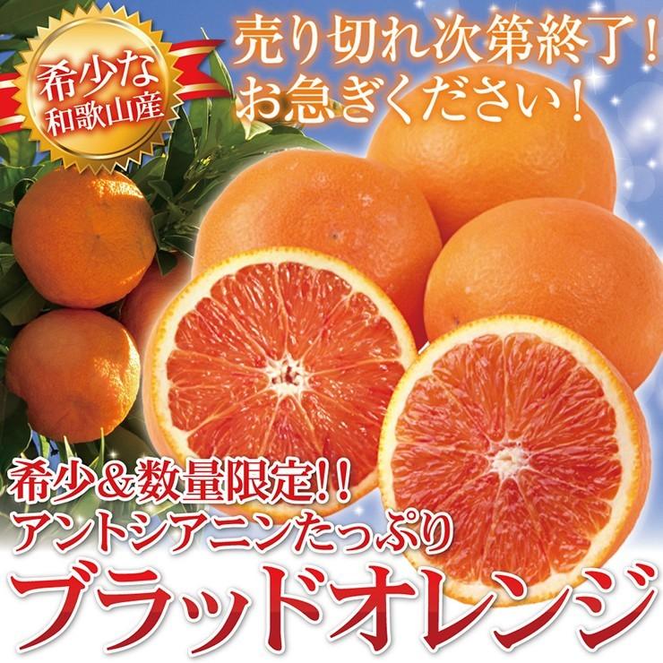 ブラッドオレンジ 和歌山 産地直送 3kg オレンジ 柑橘系 箱買い 甘い 