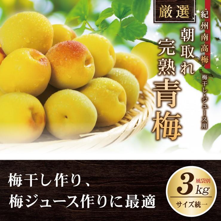紀州南高梅 厳選 朝取れ 完熟 青梅 青うめ 生梅 3kg 3キロ L 2L 3L 4L 