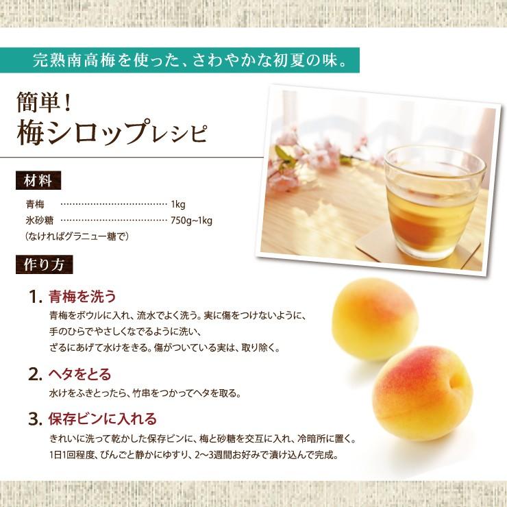 紀州南高梅 厳選 朝取れ 完熟 青梅 青うめ 生梅 3kg 3キロ L 2L 3L 4L
