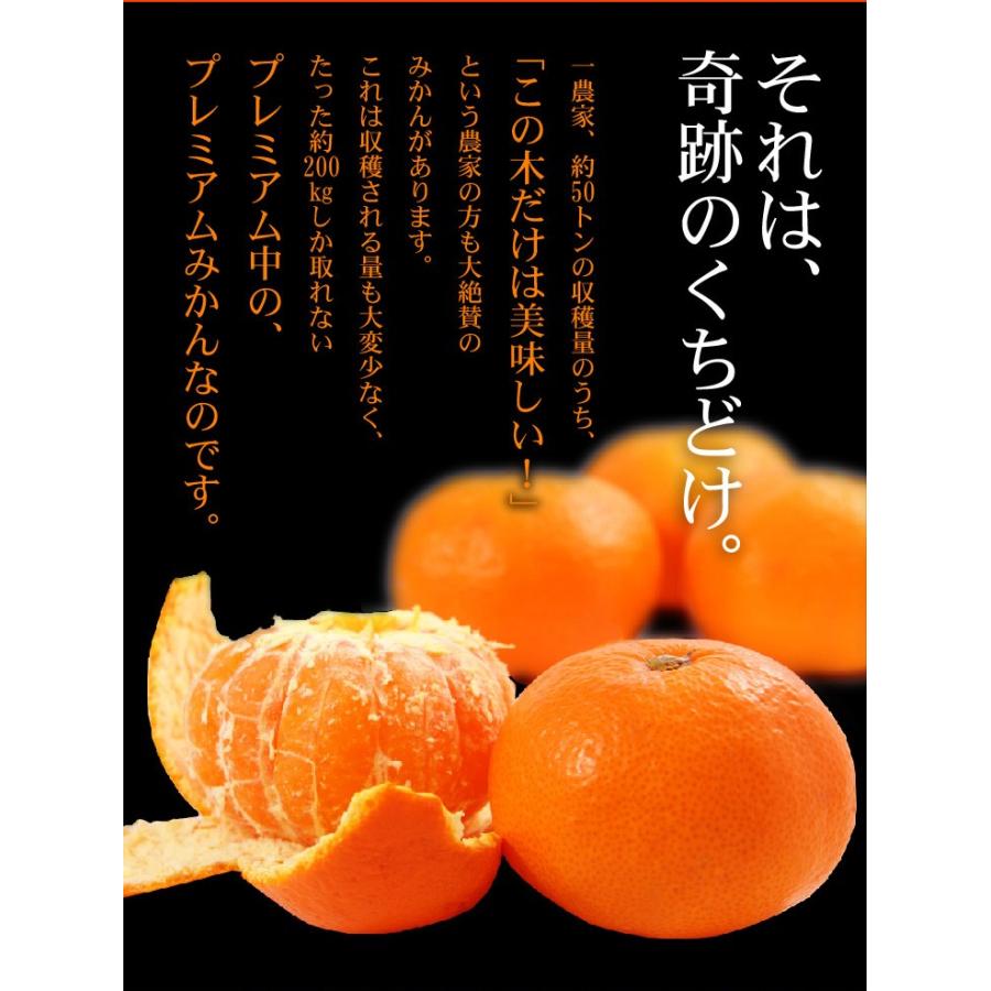 桐箱入り プレミアム 有田みかん 約5kg 秀品 職人 高級みかん みかん