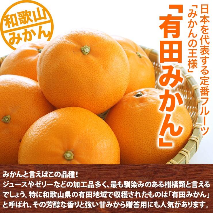 みかん 5kg 有田みかん 和歌山ミカン 蜜柑 秀品 高級みかん 送料無料
