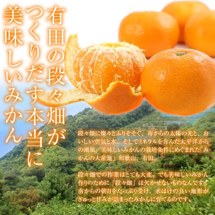 みかん 5kg 有田みかん 和歌山ミカン 蜜柑 秀品 高級みかん 送料無料