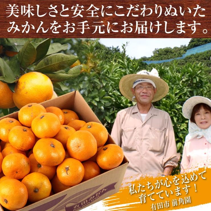 専用出品　和歌山　有田みかん　5kg×2 みかん 5kg 有田みかん 和歌山ミカン 蜜柑 秀品 高級みかん 送料無料