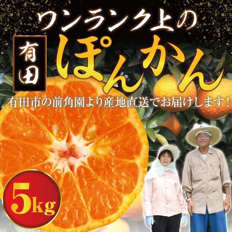 ぽんかん 5.0kg 送料無料 みかん科 有田 ポンカン 5kg 産地直送 箱買い