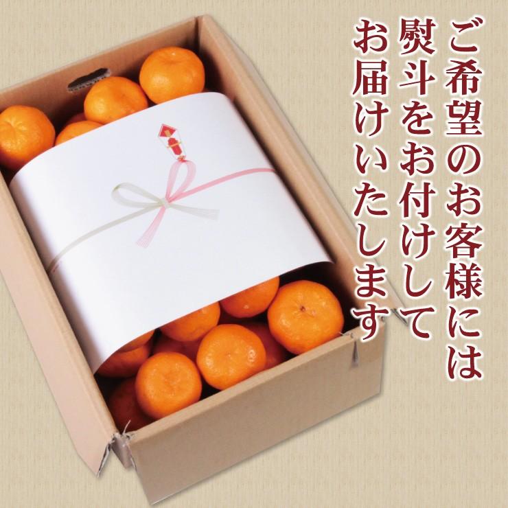 ぽんかん 5.0kg 送料無料 みかん科 有田 ポンカン 5kg 産地直送 箱買い