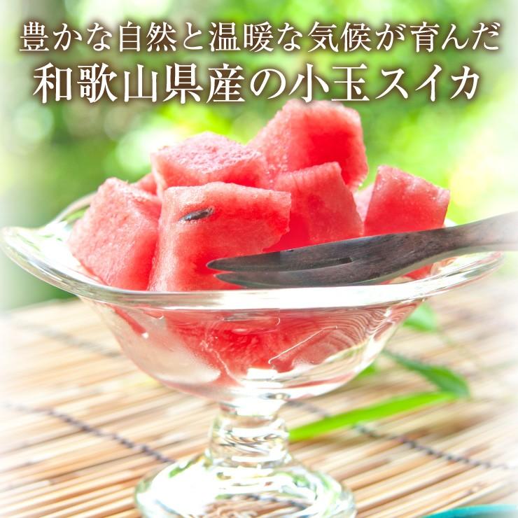 和歌山 すいか スイカ 産地直送 送料無料 ひとりじめ7 2玉入り
