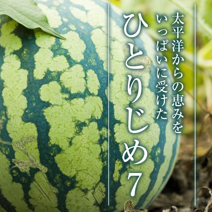 和歌山 すいか スイカ 産地直送 送料無料 ひとりじめ7 2玉入り