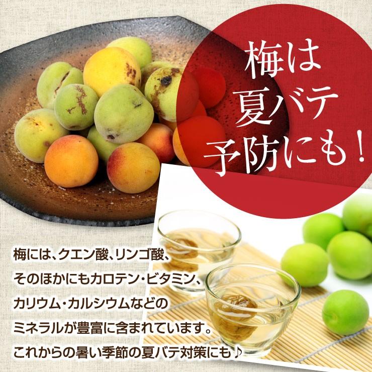 訳あり 青梅 紀州南高梅 完熟 青梅 1.0kg 1キロ 不揃い(M〜4L) 梅干し ジュース用 生梅 梅酒用 うめ ウメ 加工用 :w-aoume:メリメロフルーツ - 通販 - 訳あり 青梅 紀州南高梅 完熟 青梅 1.0kg 1キロ 不揃い(M〜4L) 梅干し ジュース用 生梅 梅酒用 うめ ウメ 加工用 :w-aoume:メリメロフルーツ - 通販 -