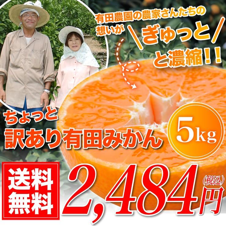 訳あり みかん ちょっと 5kg 有田みかん 蜜柑 自宅用 訳アリ 送料無料 ミカン 箱買い 産地直送 安い 糖度 家庭用 5キロ 和歌山県産 訳アリ｜melimelo