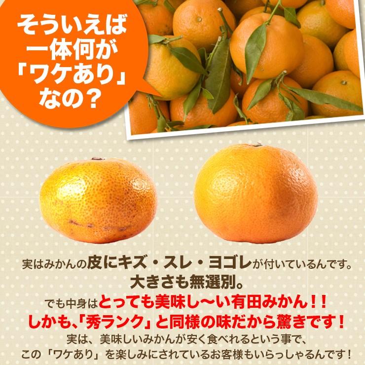 訳あり みかん ちょっと 5kg 有田みかん 蜜柑 自宅用 訳アリ 送料無料 ミカン 箱買い 産地直送 安い 糖度 家庭用 5キロ 和歌山県産 訳アリ｜melimelo｜11