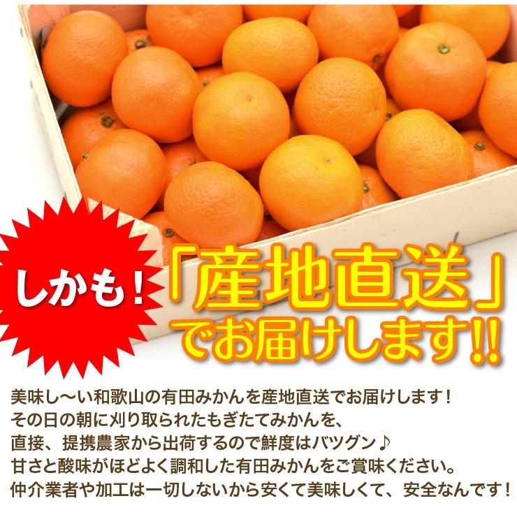 訳あり みかん ちょっと 5kg 有田みかん 蜜柑 自宅用 訳アリ 送料無料 ミカン 箱買い 産地直送 安い 糖度 家庭用 5キロ 和歌山県産 訳アリ｜melimelo｜05