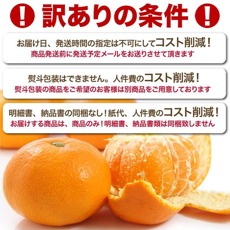 大玉 みかん 10kg くす玉くん 直送 訳あり 有田 みかん 送料無料 10キロ 安い 蜜柑 箱買い 自宅用 糖度 大きい 大きめ 産地直送 ミカン 和歌山みかん｜melimelo｜03