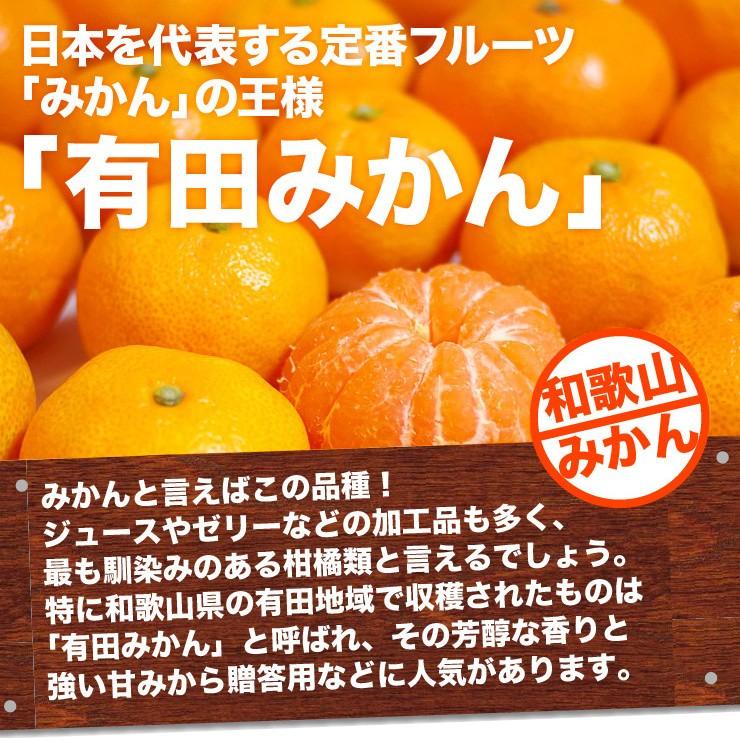 大玉 みかん 10kg くす玉くん 直送 訳あり 有田 みかん 送料無料 10キロ 安い 蜜柑 箱買い 自宅用 糖度 大きい 大きめ 産地直送 ミカン 和歌山みかん｜melimelo｜06