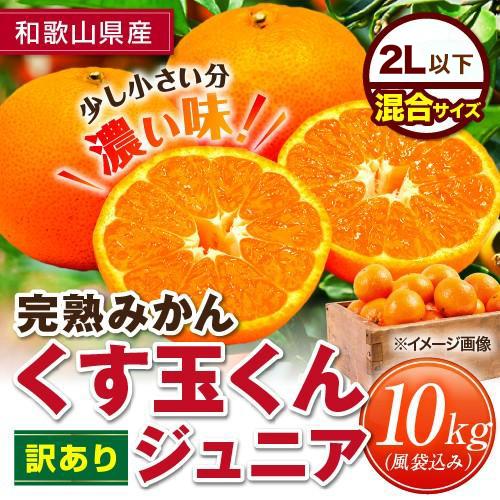 完熟みかん くす玉くんジュニア 2L以下 産地直送 訳あり 箱買い 完熟みかん くす玉くんジュニア 2L以下 産地直送 訳あり 箱買い