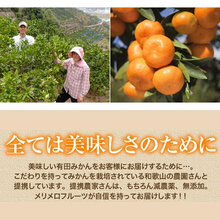 訳あり みかん 送料無料 10kg くす玉くんジュニア 直送 安い 有田 みかん 蜜柑 産地直送 自宅用 小粒 箱買い 糖度 10キロ 小さい 小さめ 和歌山県産 安い 甘い｜melimelo｜12