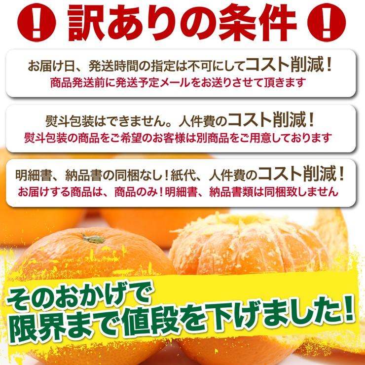 訳あり みかん 送料無料 10kg くす玉くんジュニア 直送 安い 有田 みかん 蜜柑 産地直送 自宅用 小粒 箱買い 糖度 10キロ 小さい 小さめ 和歌山県産 安い 甘い｜melimelo｜04