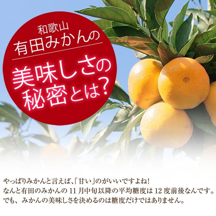 訳あり みかん 送料無料 10kg くす玉くんジュニア 直送 安い 有田 みかん 蜜柑 産地直送 自宅用 小粒 箱買い 糖度 10キロ 小さい 小さめ 和歌山県産 安い 甘い｜melimelo｜07