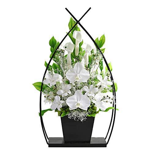 Ns ヒープ価格セール アートフォーシーズン お供え花 ３号サイズ胡蝶蘭カラー プリザーブドフラワー 英国のオンライン販売 Vakhuis Net