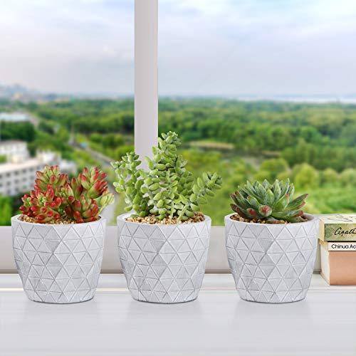 訳あり商品 T4u 10cm セメント製 植木鉢 おしゃれ プランター 多肉植物鉢 サボテン鉢 底穴ある 小型植物適用 ひし形模様 3個セット Topdental Com Ar