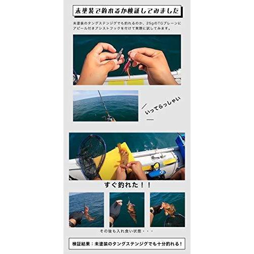 送料無料 Funks Funks タングステン Plain Tg 自作ジグ 無垢 無塗装 ジグ 未塗装 セット Tgプレーン 10個入 60g メタルジグ 釣り仕掛け 仕掛け用品 Smileylocksmith Com