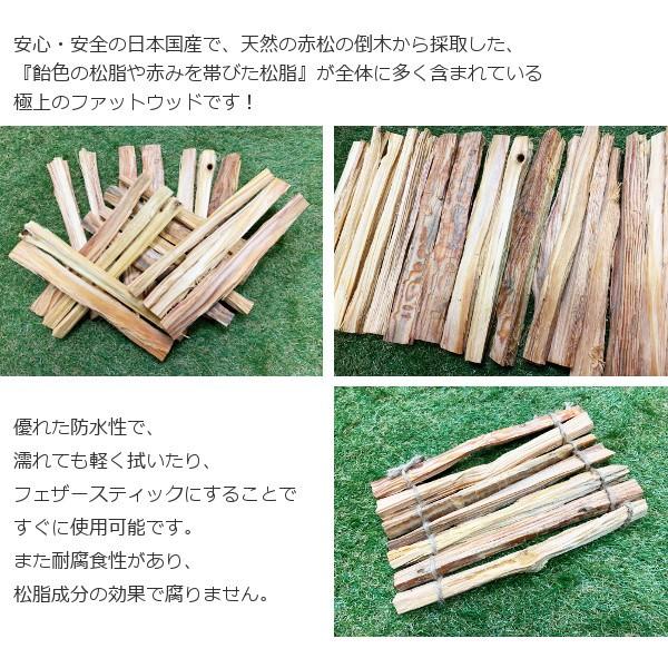 森のファットウッド ブッシュクラフト ティンダーウッド 300g