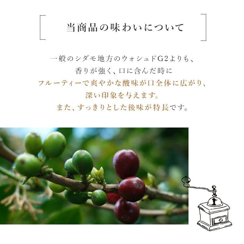 コーヒー豆 エチオピア イルガチェフェ G2 モカ 浅煎り 2kg ドリップ 豆 コーヒー 珈琲 ギフト アイスコーヒー おすすめ お試し プレゼント ドリップコーヒー |  | 04