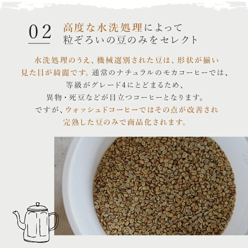 コーヒー豆 エチオピア イルガチェフェ G2 モカ 浅煎り 2kg ドリップ 豆 コーヒー 珈琲 ギフト アイスコーヒー おすすめ お試し プレゼント ドリップコーヒー |  | 05