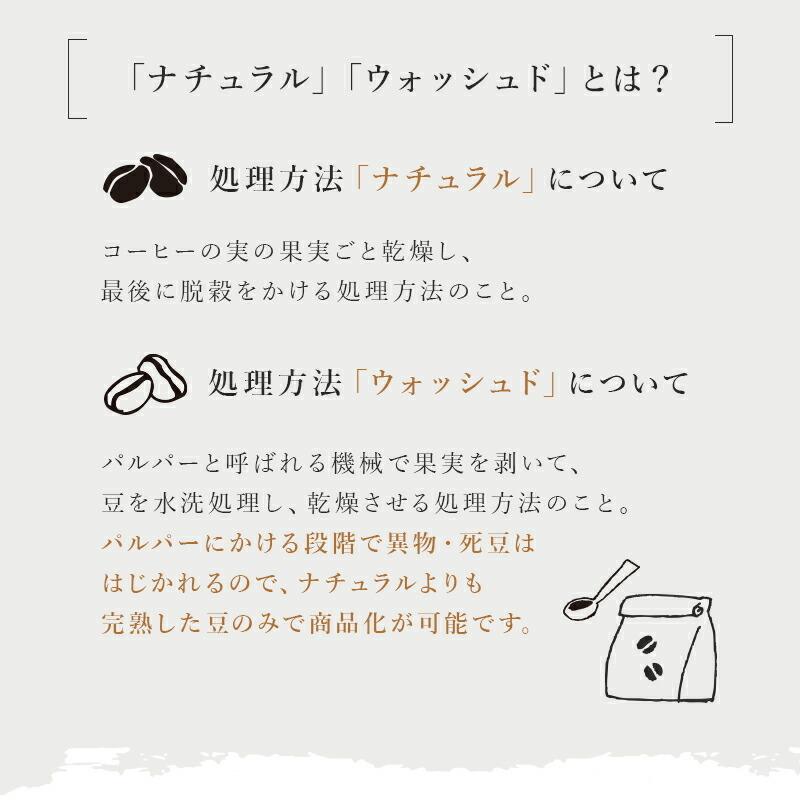 コーヒー豆 エチオピア イルガチェフェ G2 モカ 浅煎り 2kg ドリップ 豆 コーヒー 珈琲 ギフト アイスコーヒー おすすめ お試し プレゼント ドリップコーヒー |  | 07