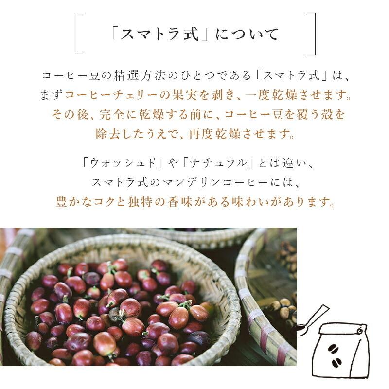 コーヒー豆 インドネシア マンデリン G1 深煎り 400g ドリップ 豆