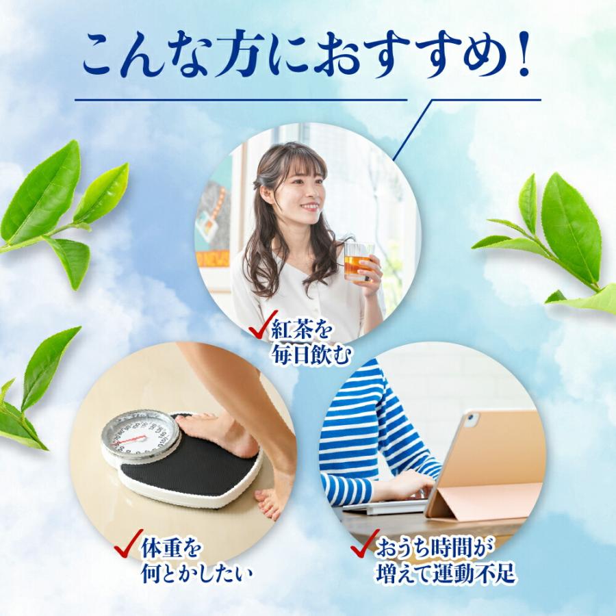 爆買 紅茶 濃縮紅茶 機能性表示食品 スリーダウンティー 11g×18個×3袋