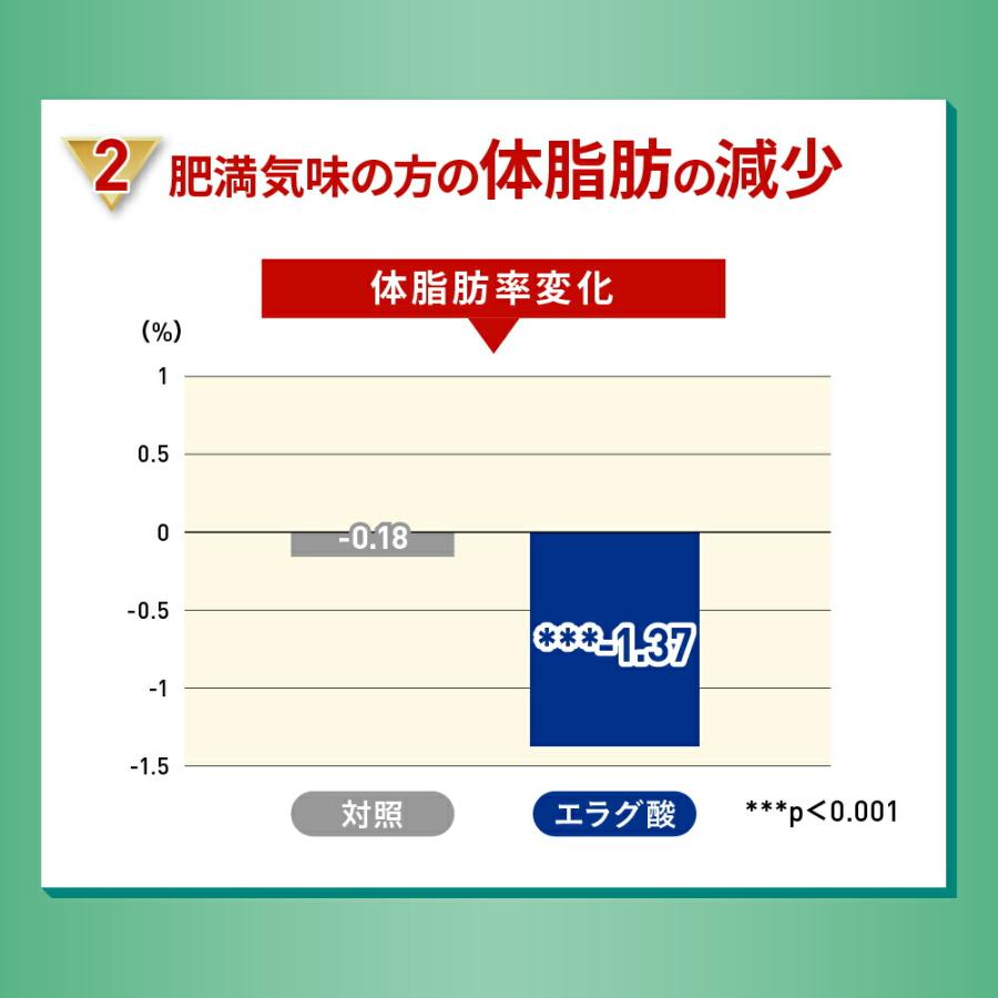 機能性表示食品 スリーダウンティー（紅茶） 11g×6個×20袋 爆買