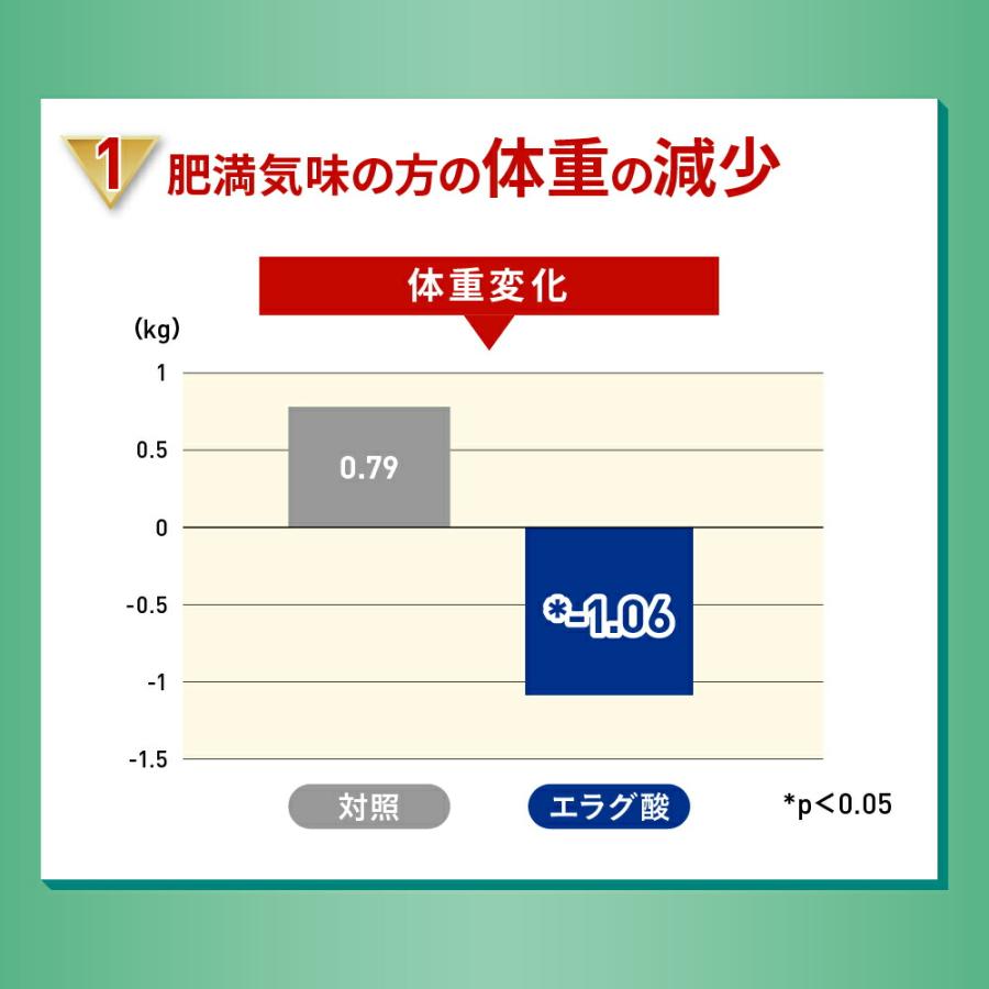 紅茶 スリーダウンティー 機能性表示食品 11g×6個×3袋セット
