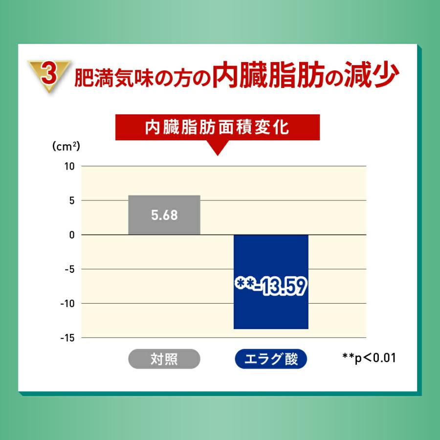 紅茶 スリーダウンティー 機能性表示食品 11g×6個×3袋セット