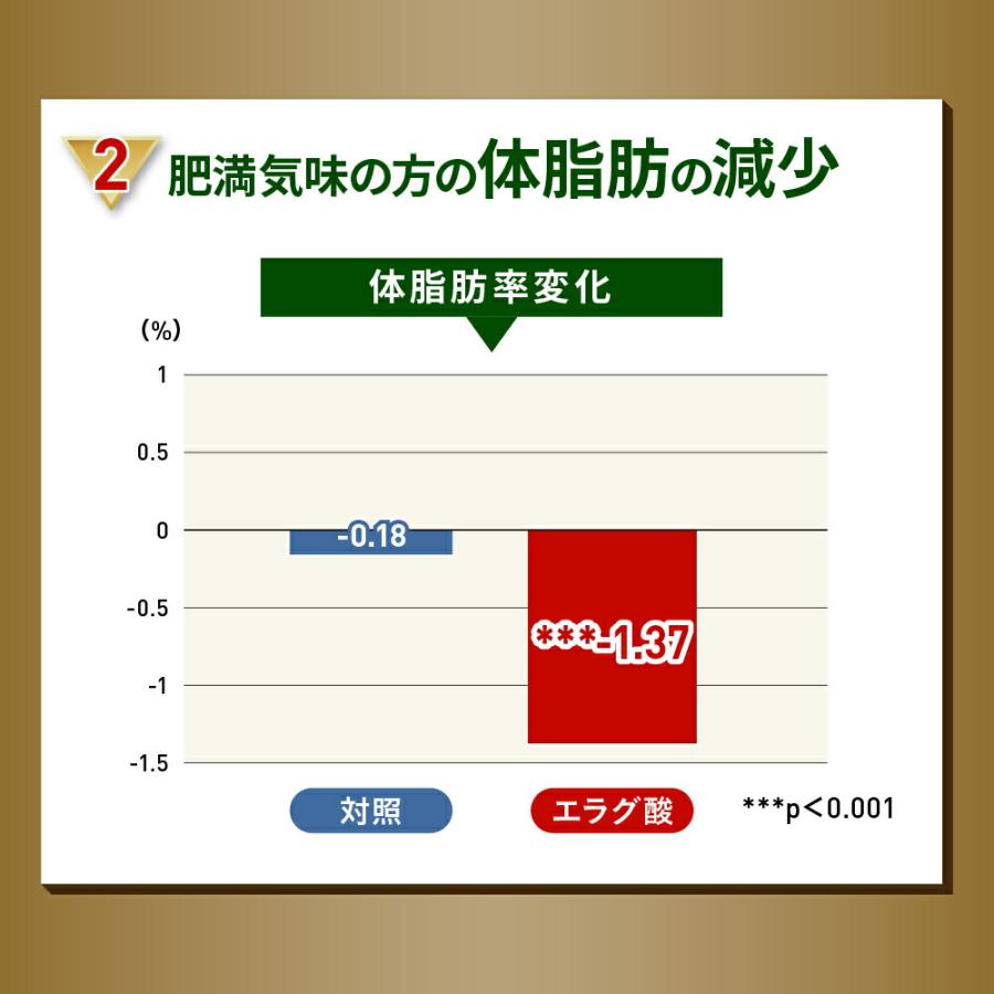 コーヒー 機能性表示食品 濃縮 スリーダウンコーヒー 10g×6個×3袋 お