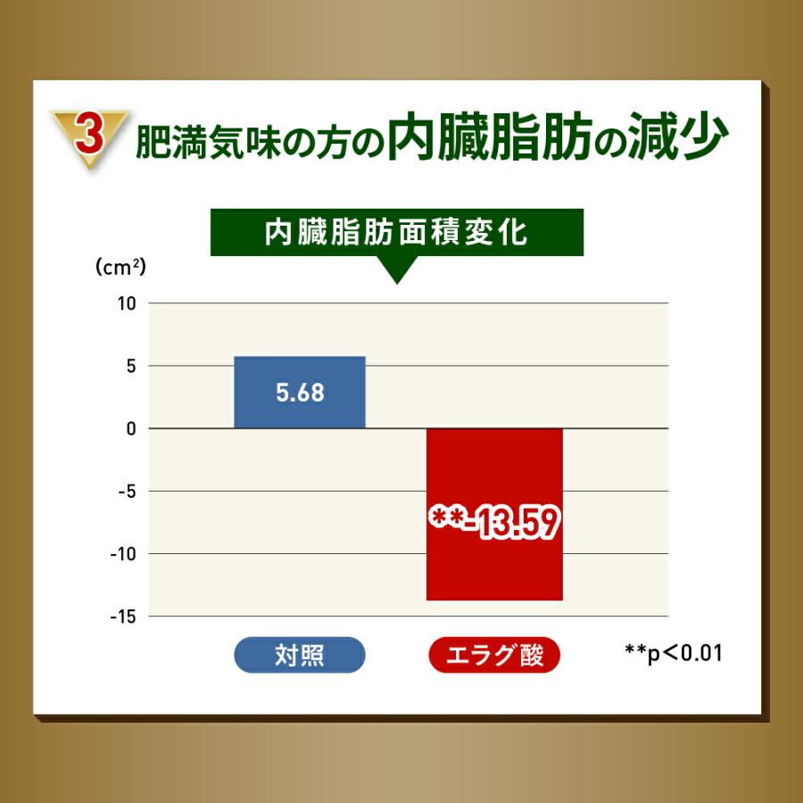 コーヒー 機能性表示食品 濃縮 スリーダウンコーヒー 10g×6個×3袋 お