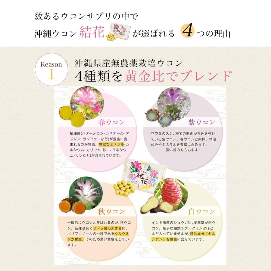 沖縄 春ウコン 結花 20包 アルコール 二日酔い ブライダル プチギフト 