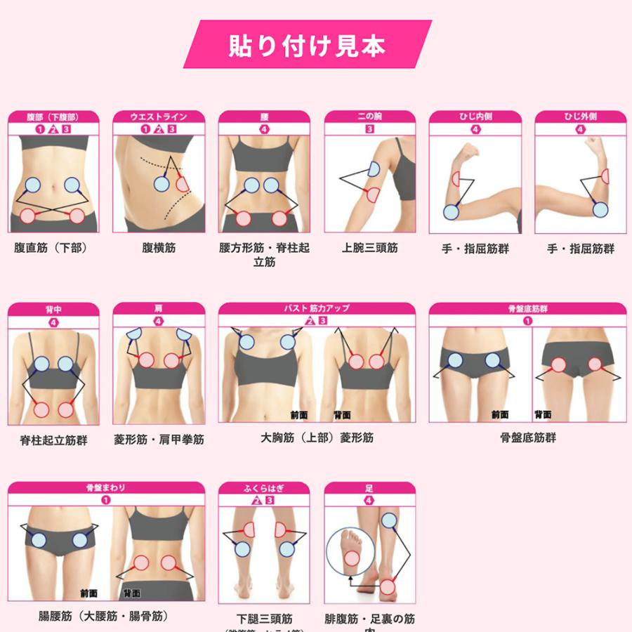 複合高周波EMSマシーン 業務用 EMS パーソナルトレーナー 高性能