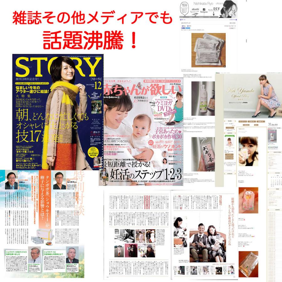 ショウキT-1plus 100ml 30包（1箱） 漢方 妊活 たんぽぽ茶 : メロディ