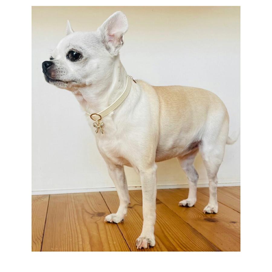 ペット 犬用 ネックレス 首輪 チョーカー ドッグアクセサリー フラワー