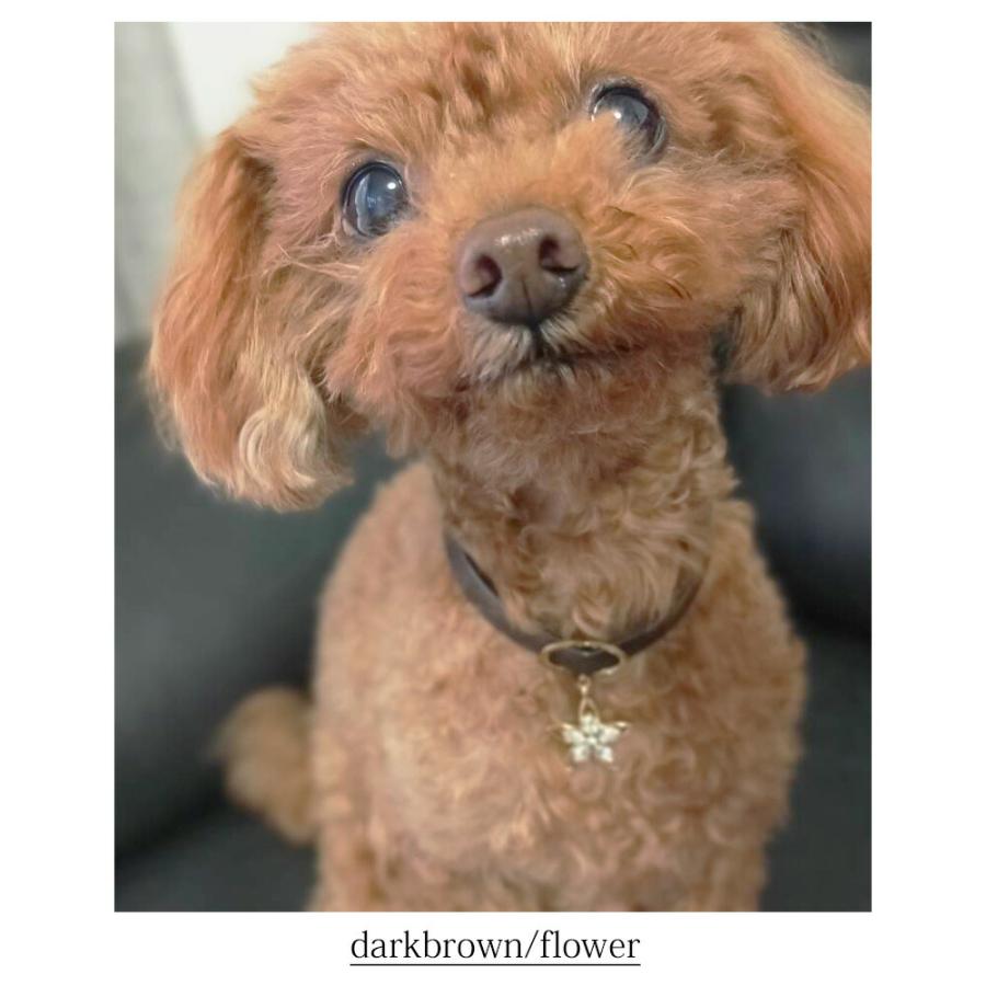 ペット 犬用 ネックレス 首輪 チョーカー ドッグアクセサリー フラワー